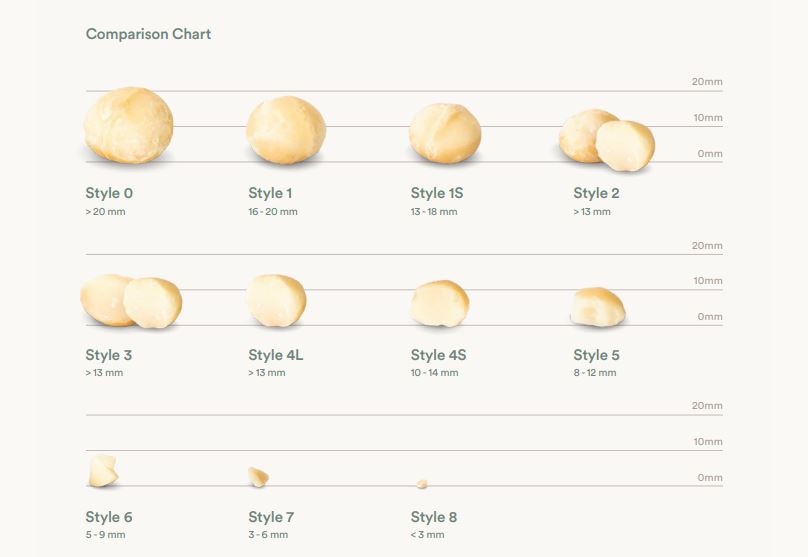Macadamia Style Comparison